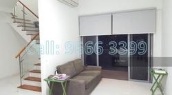 Suites de Laurel (D21), Apartment #134054142